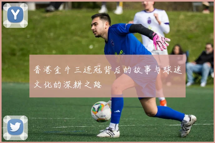 香港金牛三连冠背后的故事与球迷文化的深耕之路